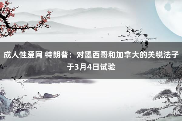 成人性爱网 特朗普：对墨西哥和加拿大的关税法子于3月4日试验