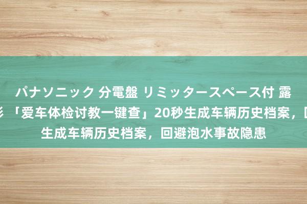 パナソニック 分電盤 リミッタースペース付 露出・半埋込両用形 「爱车体检讨教一键查」20秒生成车辆历史档案，回避泡水事故隐患