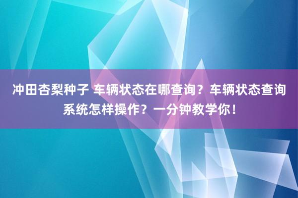 冲田杏梨种子 车辆状态在哪查询？车辆状态查询系统怎样操作？一分钟教学你！
