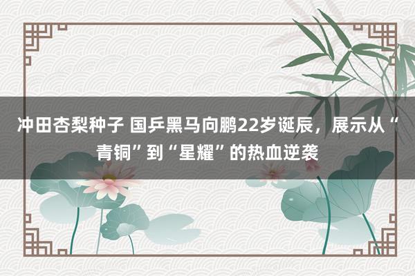 冲田杏梨种子 国乒黑马向鹏22岁诞辰，展示从“青铜”到“星耀”的热血逆袭