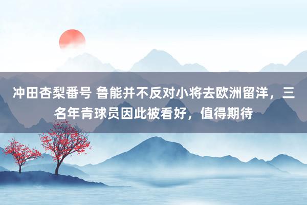 冲田杏梨番号 鲁能并不反对小将去欧洲留洋，三名年青球员因此被看好，值得期待