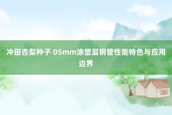 冲田杏梨种子 05mm涂塑层钢管性能特色与应用边界