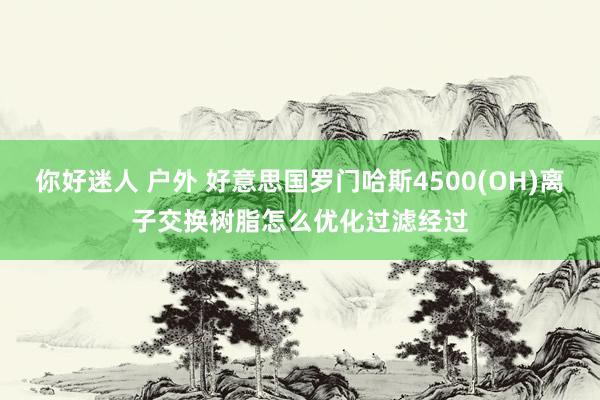 你好迷人 户外 好意思国罗门哈斯4500(OH)离子交换树脂怎么优化过滤经过