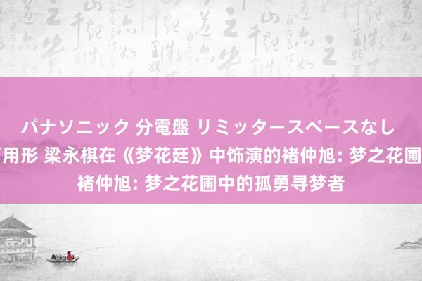 パナソニック 分電盤 リミッタースペースなし 露出・半埋込両用形 梁永棋在《梦花廷》中饰演的褚仲旭: 梦之花圃中的孤勇寻梦者