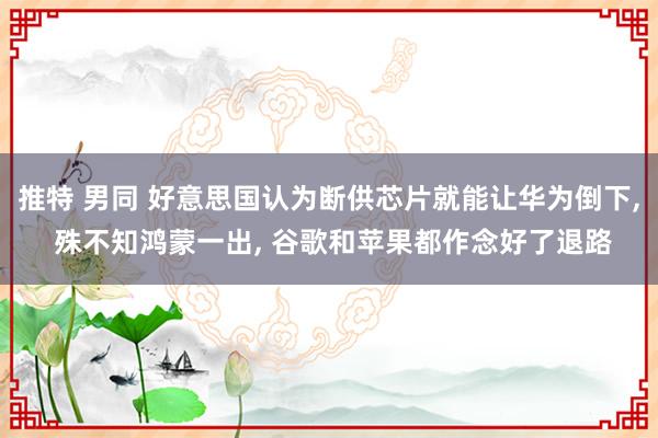 推特 男同 好意思国认为断供芯片就能让华为倒下， 殊不知鸿蒙一出， 谷歌和苹果都作念好了退路