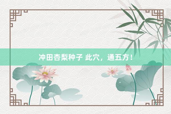 冲田杏梨种子 此穴，通五方！