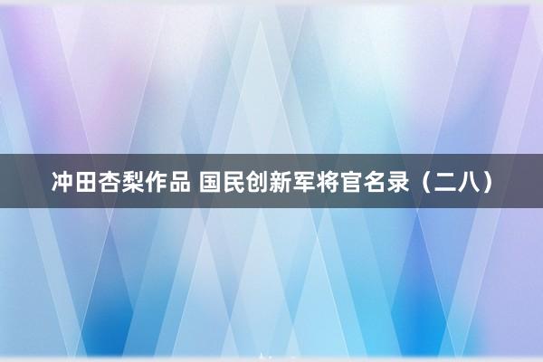 冲田杏梨作品 国民创新军将官名录（二八）