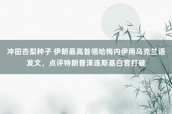 冲田杏梨种子 伊朗最高首领哈梅内伊用乌克兰语发文，点评特朗普泽连斯基白宫打破