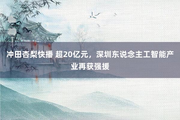 冲田杏梨快播 超20亿元，深圳东说念主工智能产业再获强援