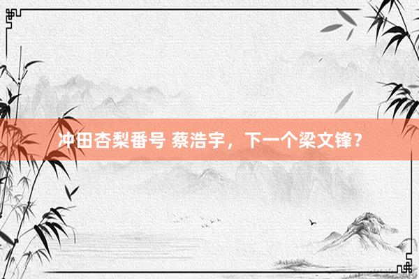 冲田杏梨番号 蔡浩宇，下一个梁文锋？